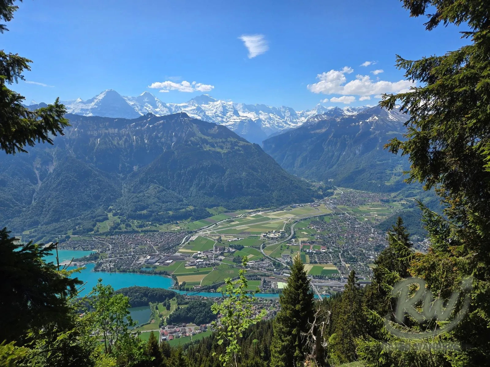 The Interlaken valley from a forest viewpoint, turquoise lake below and snow-capped Alps behind.