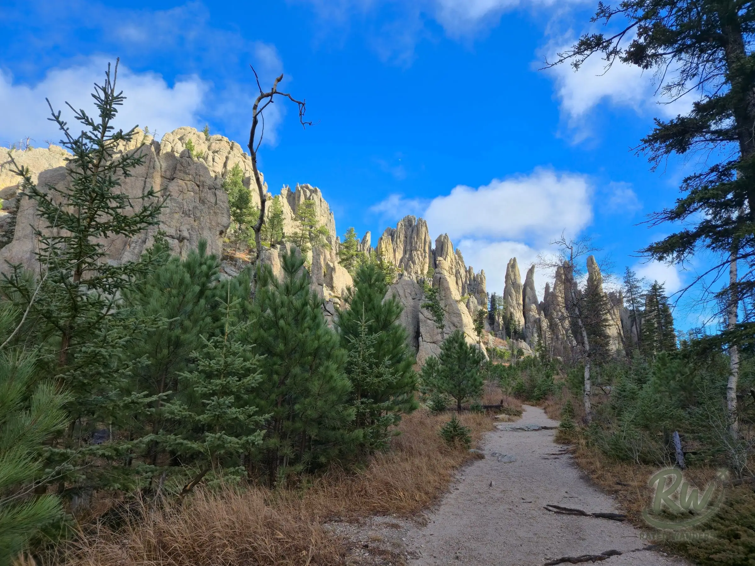 A gravel path between young pines leading toward a line of granite spires