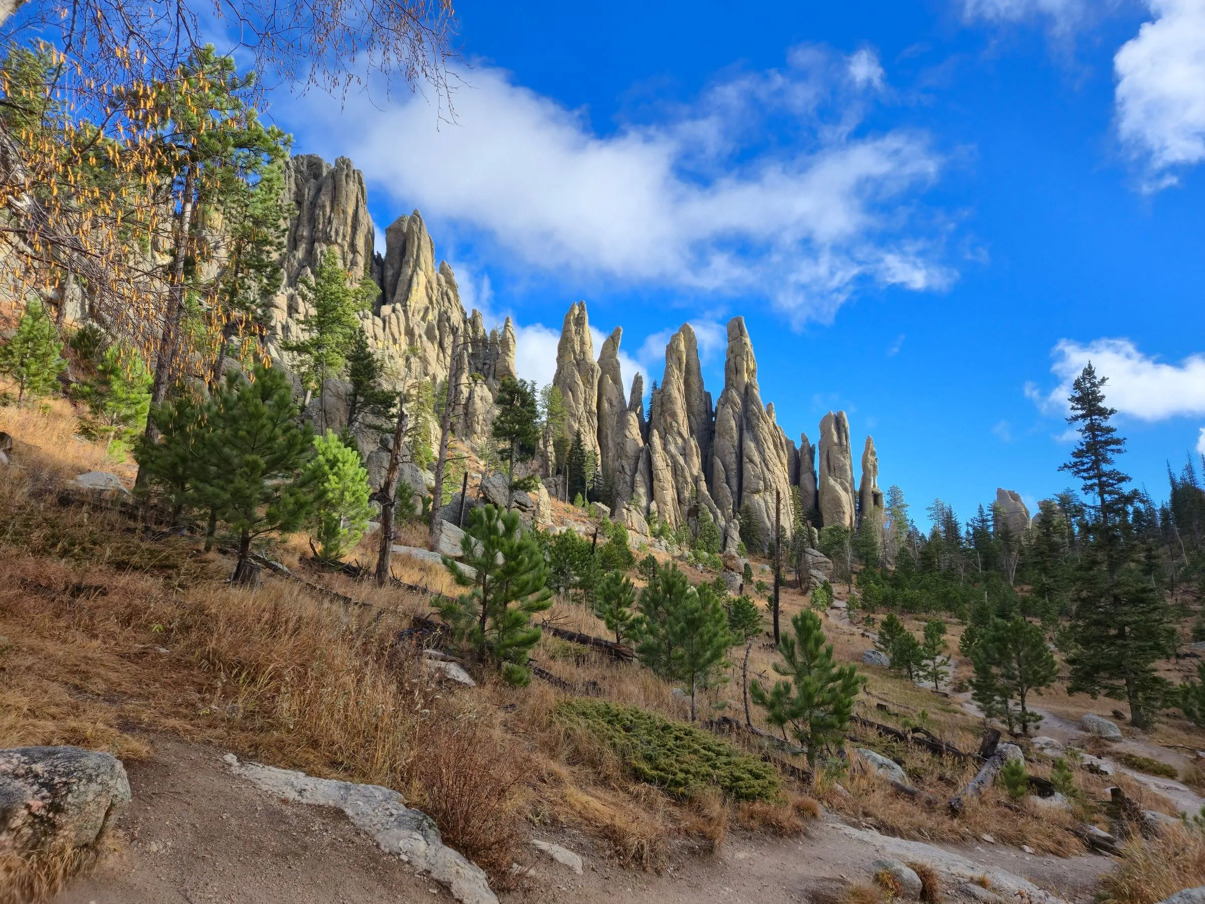 Granite spires rising above a pine-dotted hillside and a dirt trail under a blue sky