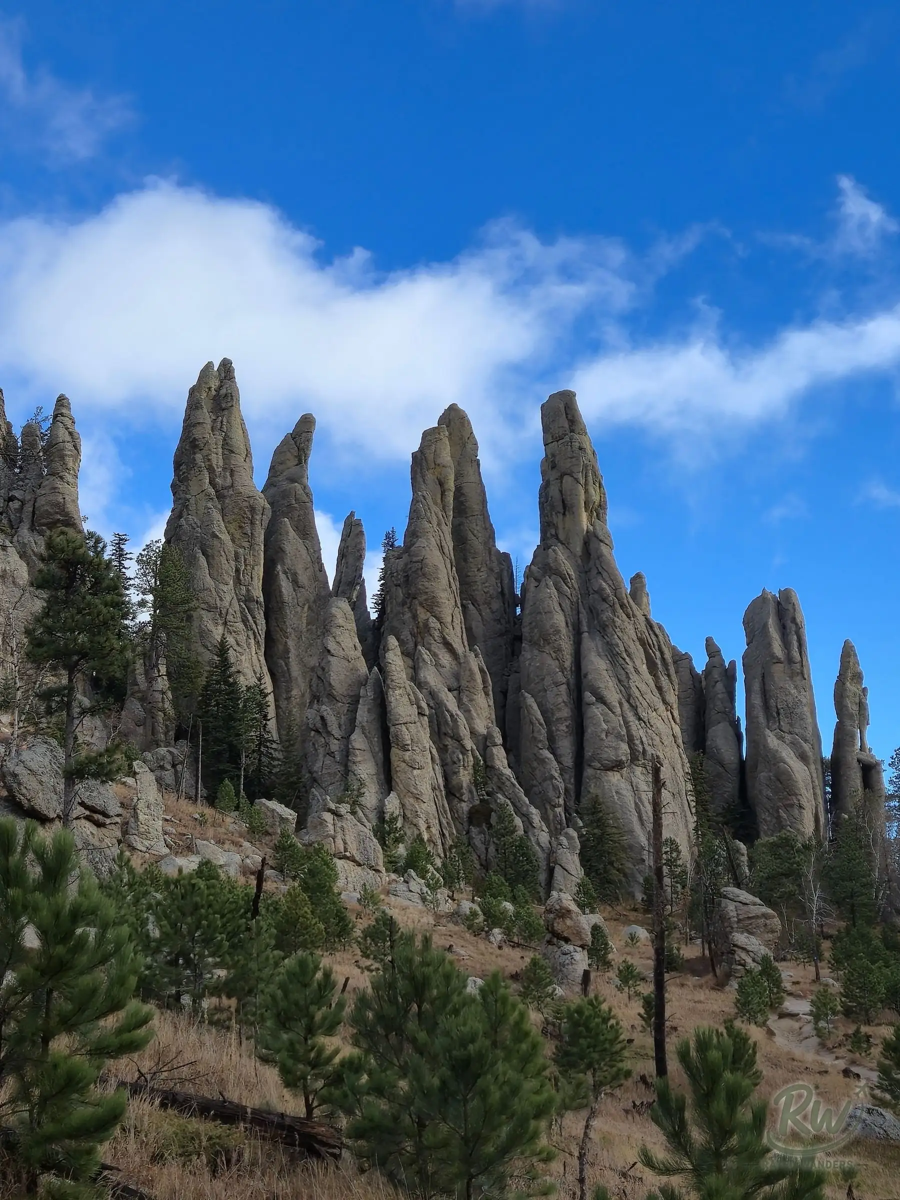 A row of pointed granite spires against a blue sky, young pines on the slope below
