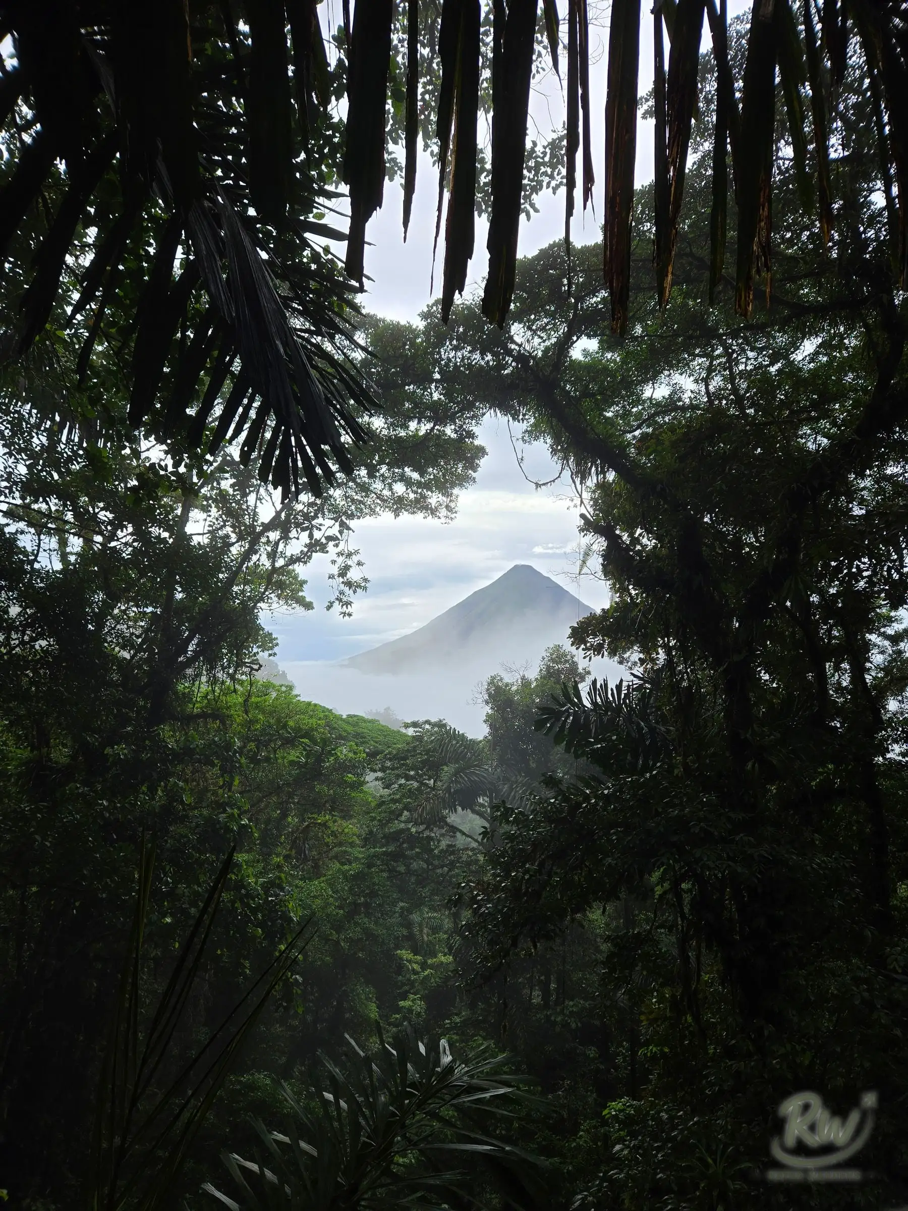 Arenal volcano framed by a gap in dark jungle foliage, cloud sitting below the cone
