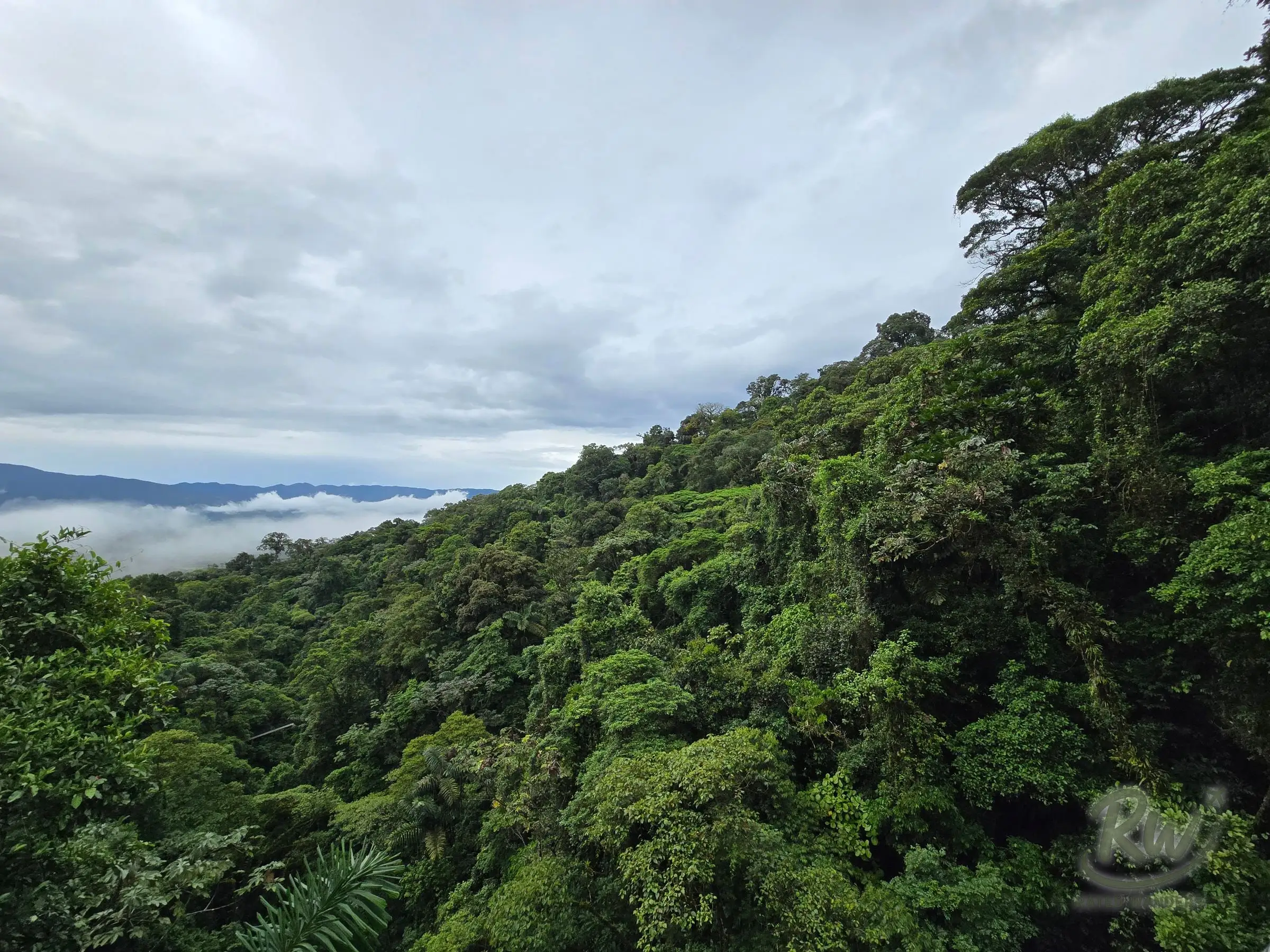 Jungle hillside falling away to a cloud filled valley, with ridgelines behind